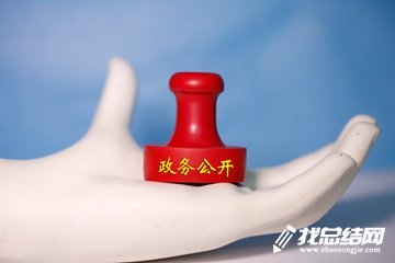 政務(wù)公開年終總結(jié)_2020年政務(wù)公開工作總結(jié)大全