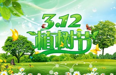 植樹節(jié)活動總結范文_2020年植樹節(jié)活動總結大全