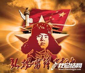 學(xué)雷鋒志愿服務(wù)活動總結(jié)