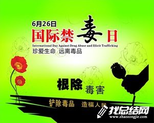 小學(xué)開(kāi)展國(guó)際禁毒日宣傳活動(dòng)總結(jié)2020