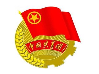 團員小結(jié)_團員個人總結(jié)范文24篇