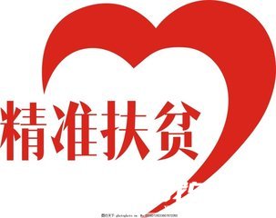 扶貧專干個(gè)人工作總結(jié)