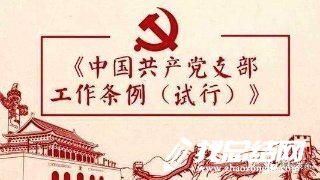 宣傳委員學習《中國共產黨支部工作條例》心得體會