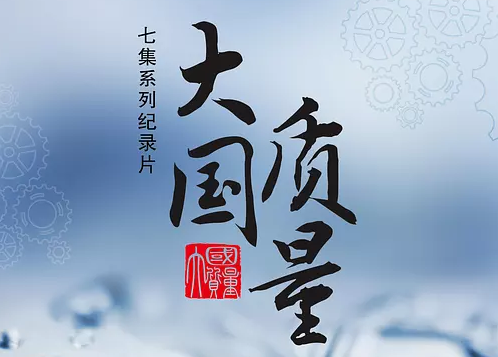 大國質(zhì)量觀后感范文大全