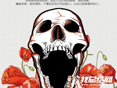 國際禁毒日活動總結